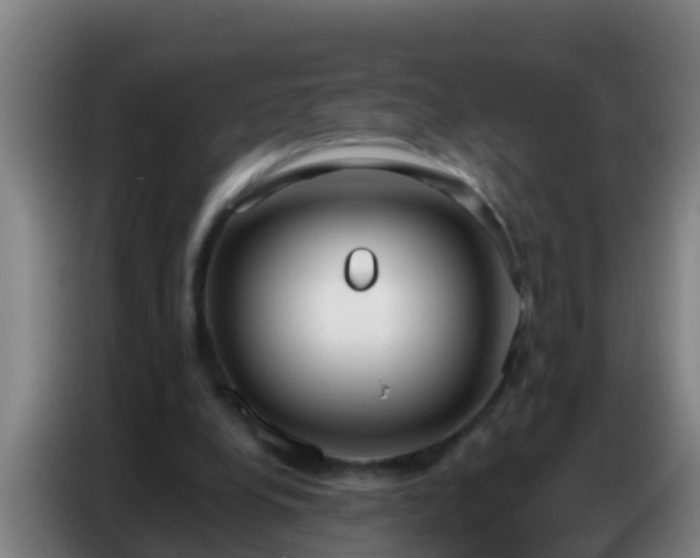 X0000086800248200704201909
