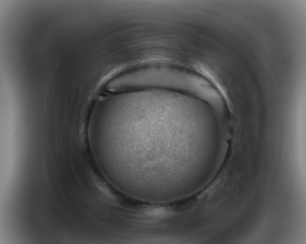 X0000086800249200704201909