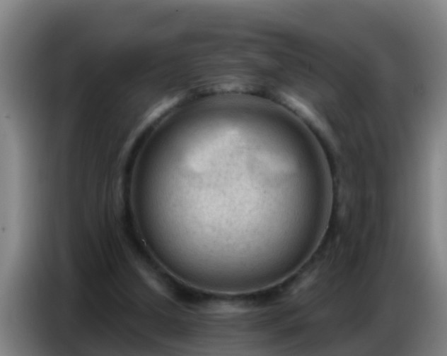 X0000086800250200704201909