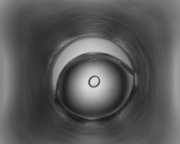 X0000086800252200704201909