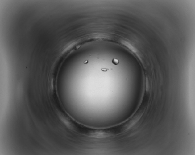 X0000086800253200704201909