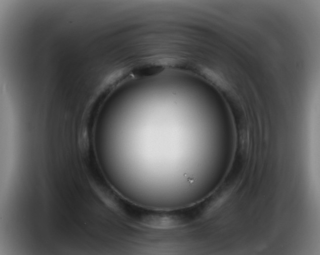 X0000086800254200704201909