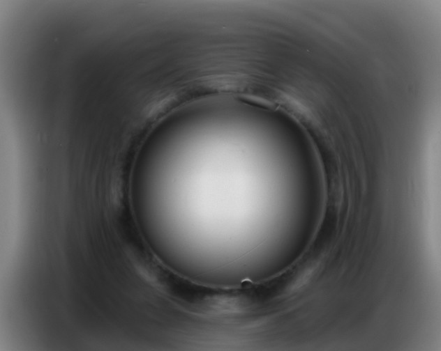 X0000086800255200704201909