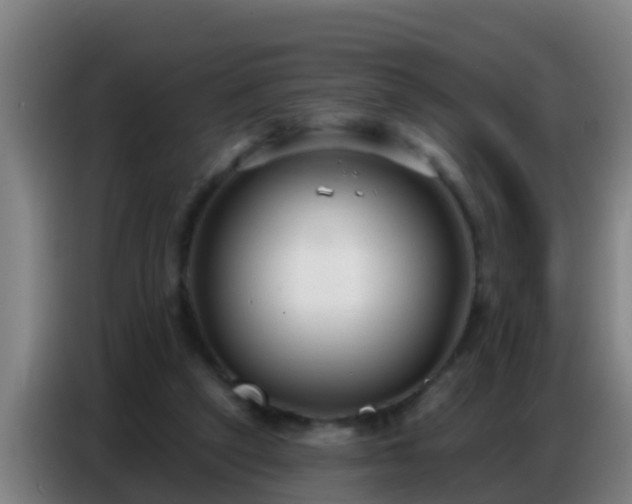 X0000086800257200704201909