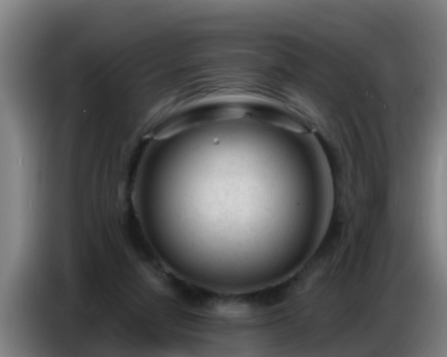 X0000086800258200704201909