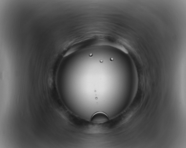 X0000086800259200704201909