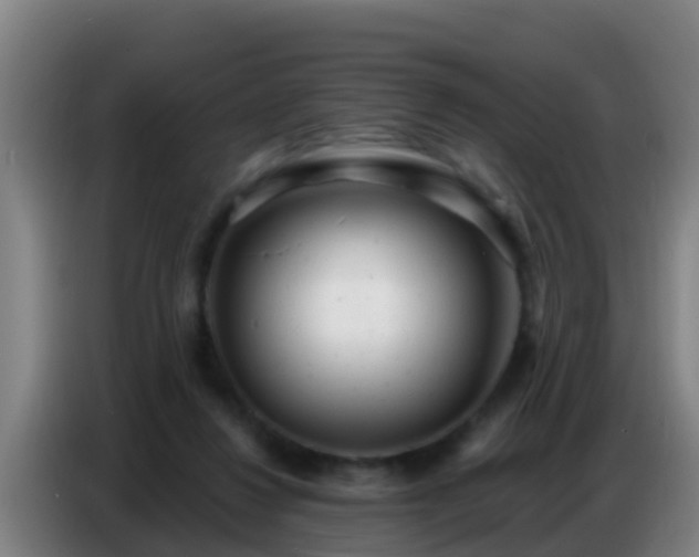 X0000086800260200704201909