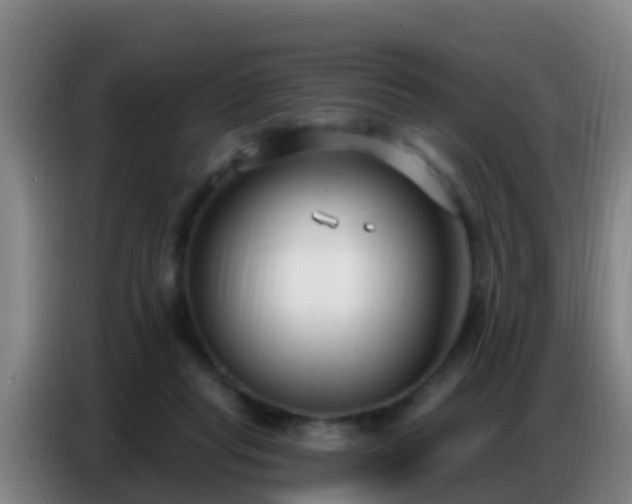 X0000086800261200704201909