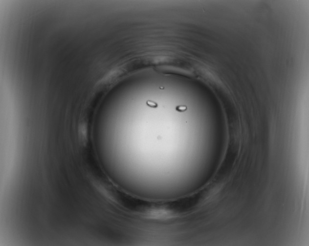 X0000086800262200704201909