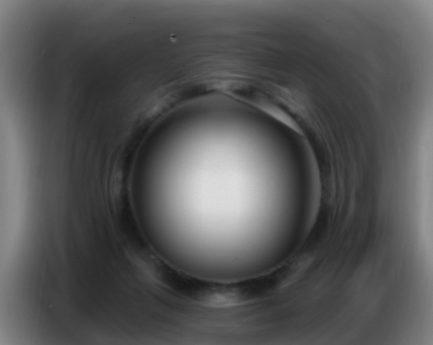 X0000086800263200704201909