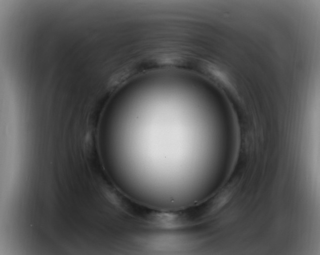 X0000086800265200704201909