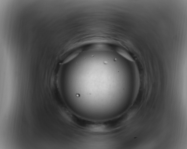 X0000086800266200704201909