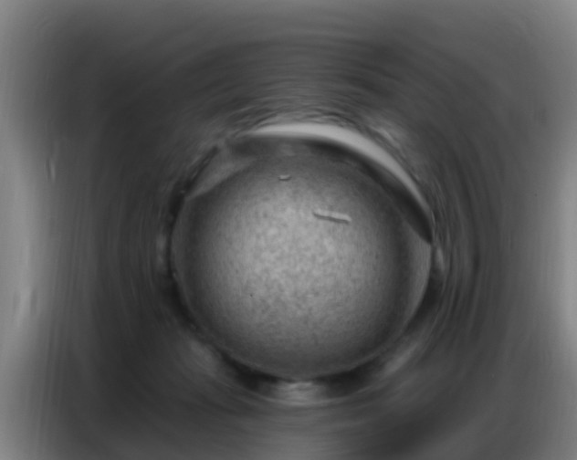 X0000086800269200704201909