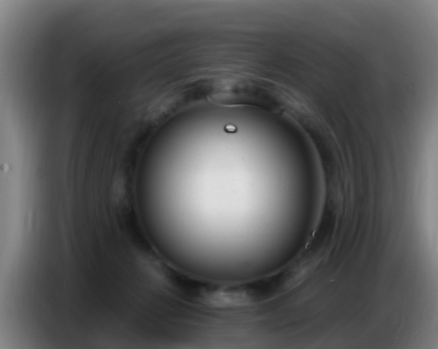 X0000086800270200704201909