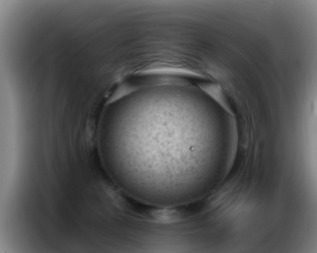X0000086800273200704201909