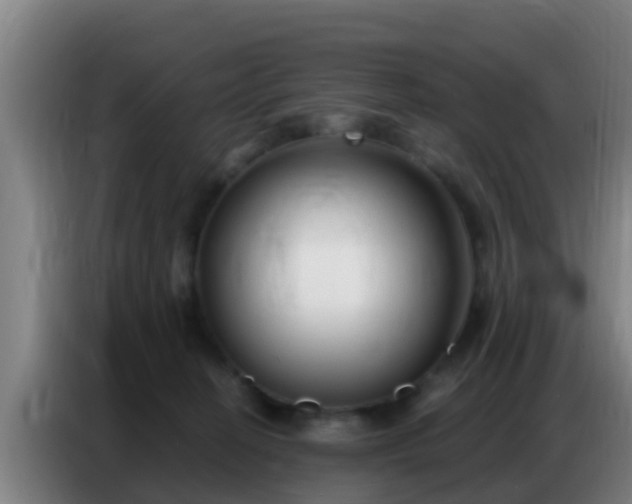 X0000086800274200704201909