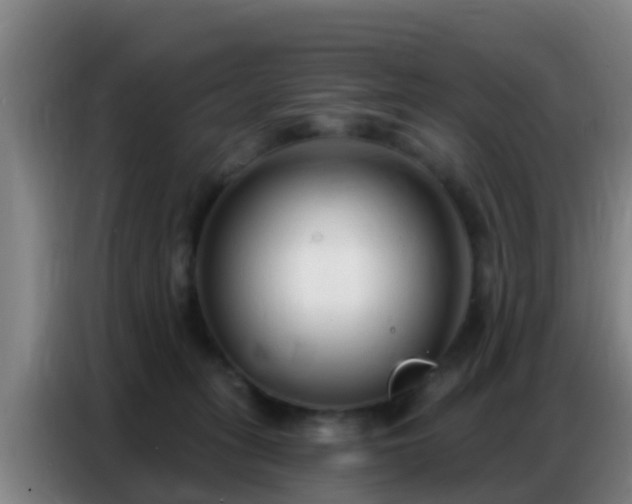 X0000086800275200704201909