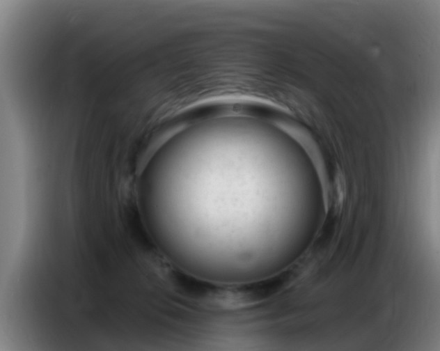X0000086800276200704201909