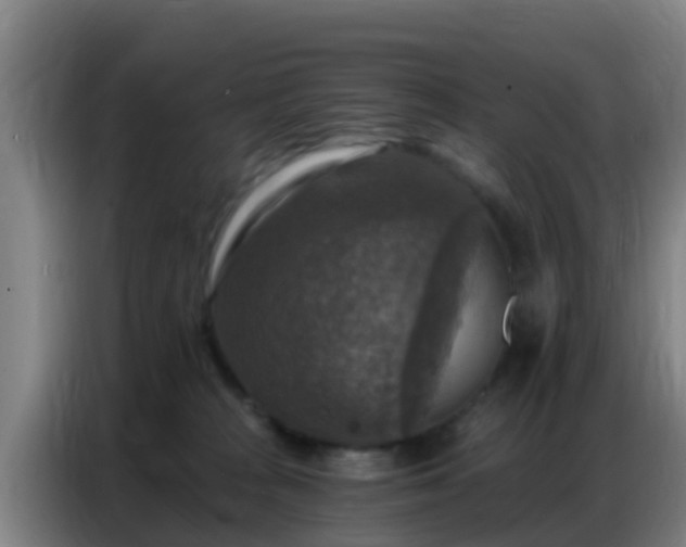 X0000086800277200704201909
