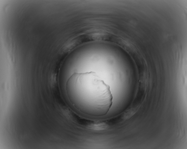 X0000086800278200704201909
