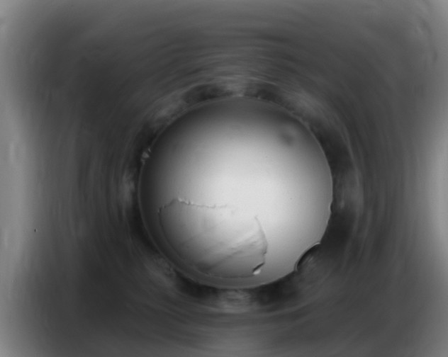 X0000086800279200704201909