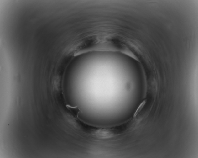 X0000086800280200704201909