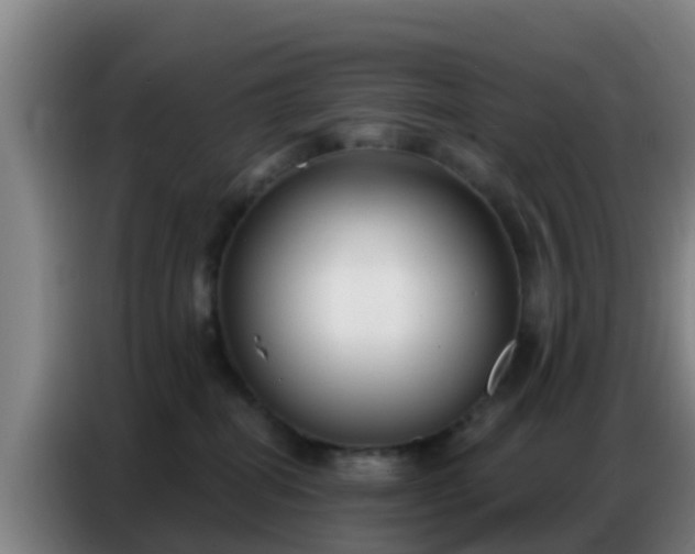 X0000086800282200704201909