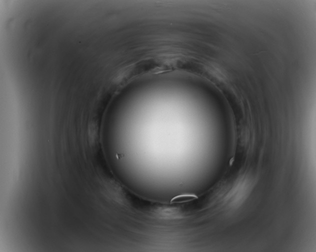 X0000086800283200704201909