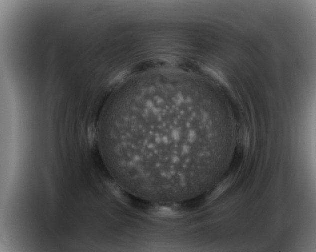 X0000086800285200704201909