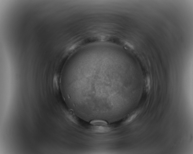 X0000086800286200704201909