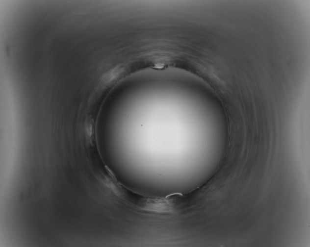 X0000086800288200704201909