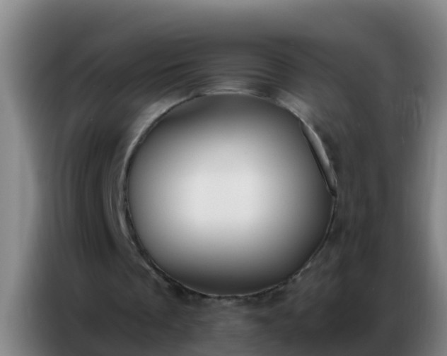 X0000086800289200704201909