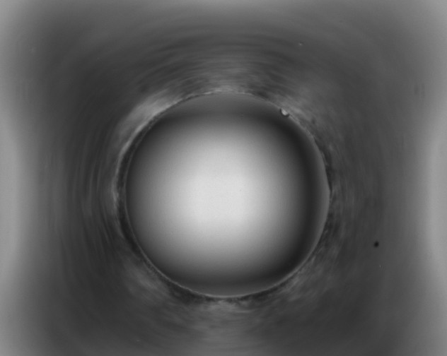 X0000086800290200704201909