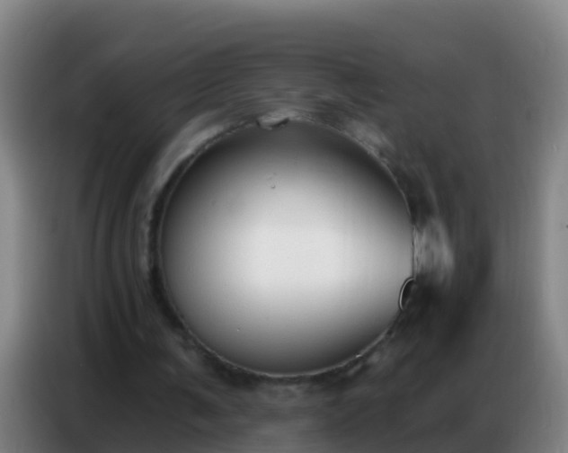 X0000086800291200704201909