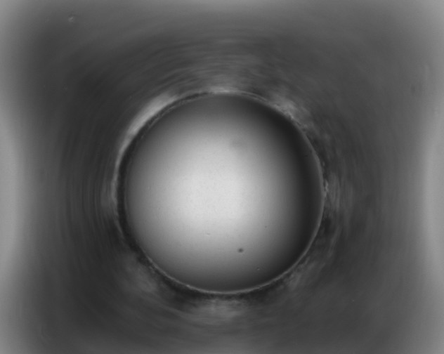 X0000086800292200704201909