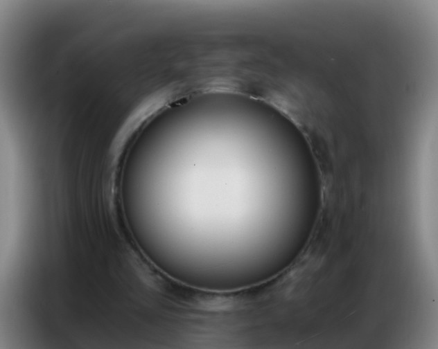 X0000086800293200704201909