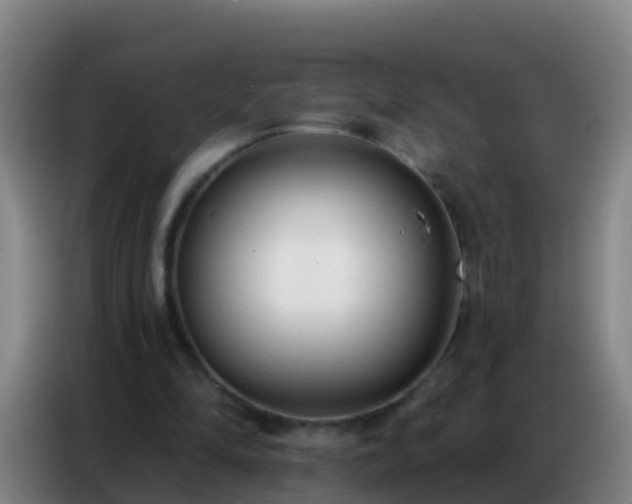 X0000086800294200704201909