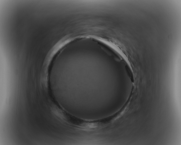 X0000086800295200704201909