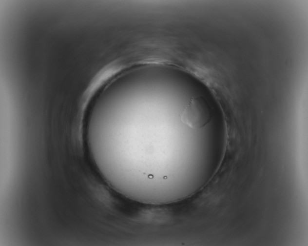 X0000086800296200704201909