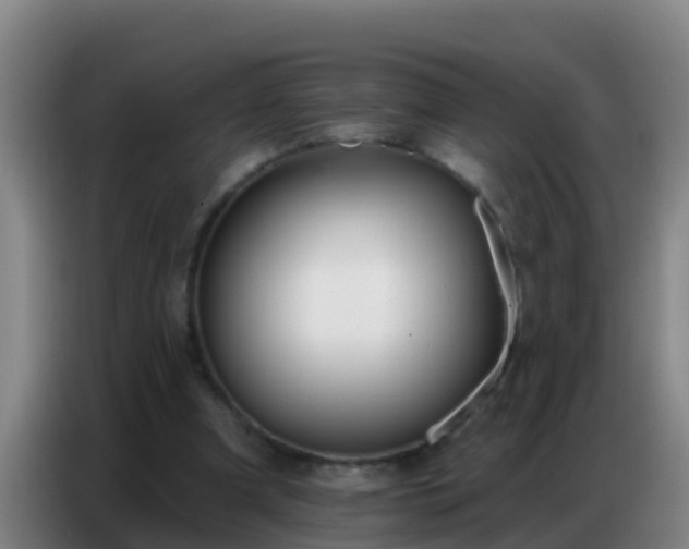 X0000086800297200704201909
