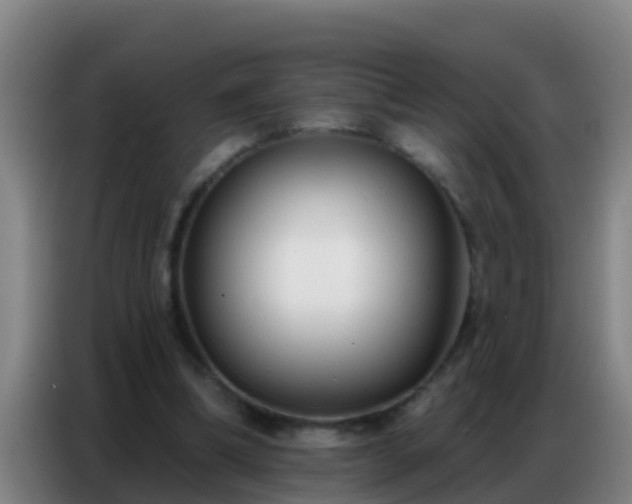X0000086800298200704201909