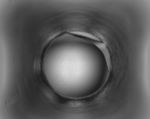 X0000086800299200704201909