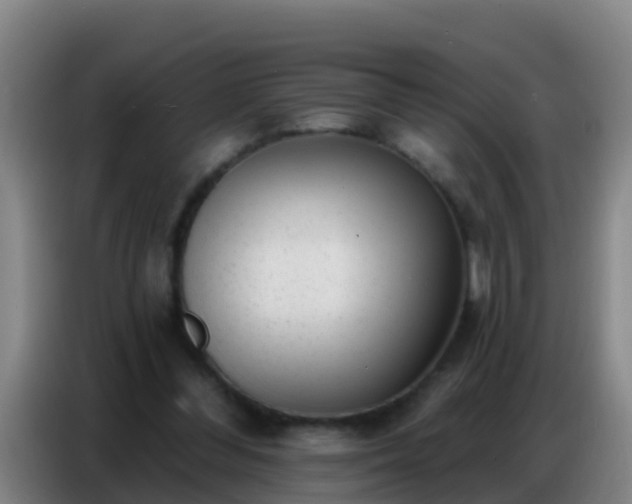 X0000086800300200704201909