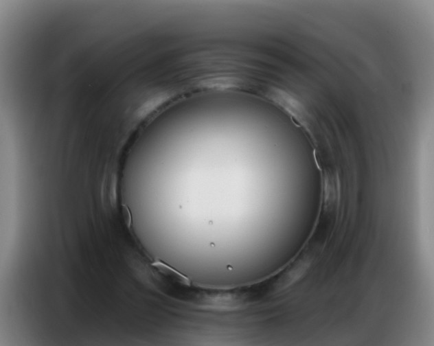X0000086800301200704201909