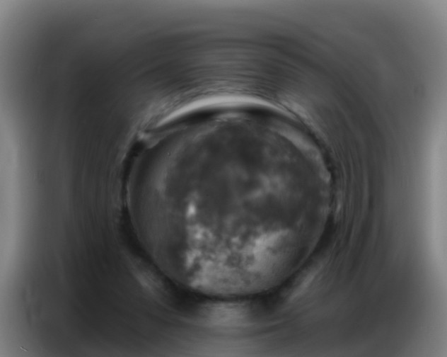 X0000086800303200704201909