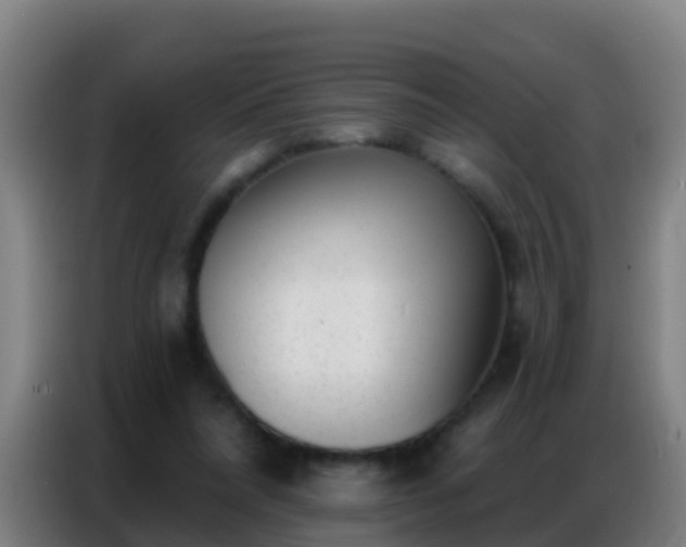 X0000086800304200704201909
