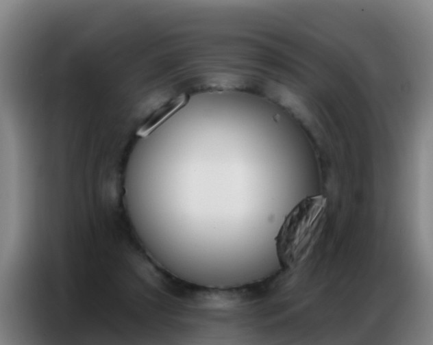 X0000086800305200704201909