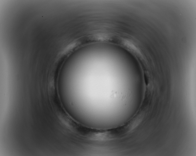 X0000086800306200704201909