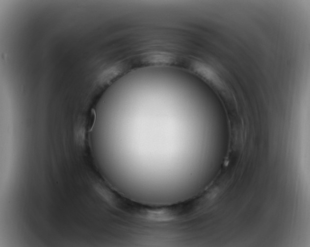 X0000086800309200704201908