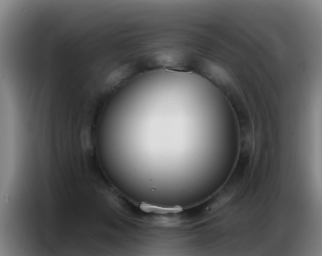 X0000086800317200704201908